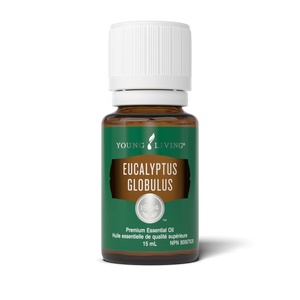 Eucalyptus Globulus Essential Oil