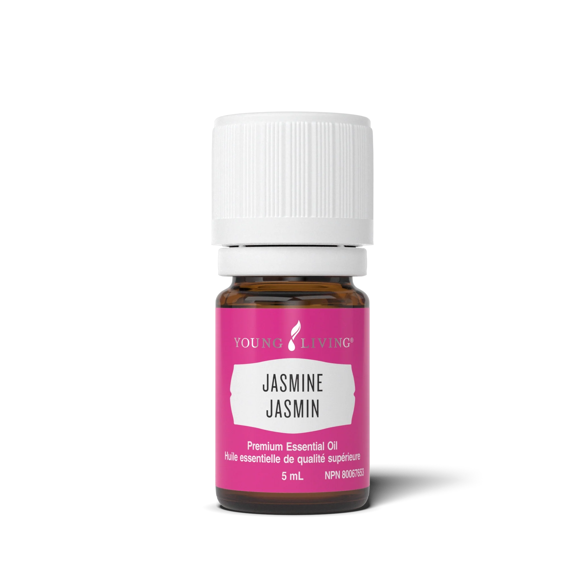 Jasmine Essential Oil – Young Living Canada