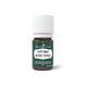 Peppermint Essential Oil