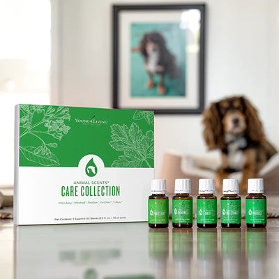 Animal Scents