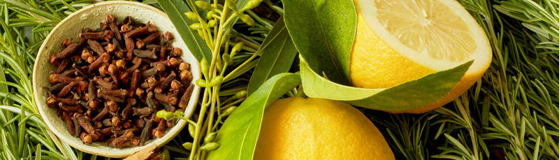 lime-botanical