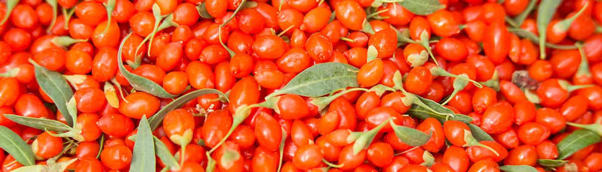 wolfberries