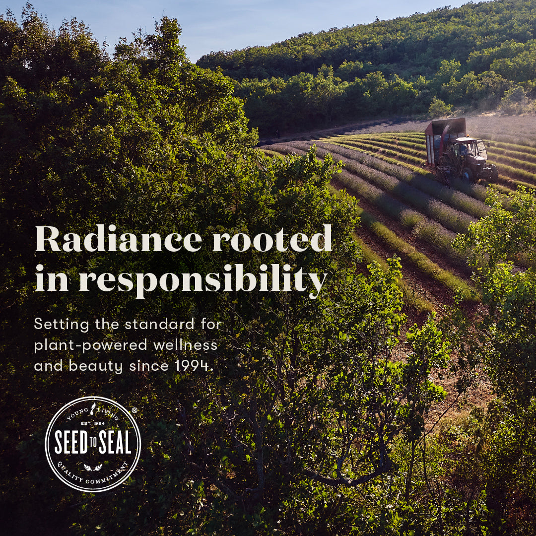 A scenic outdoor photograph of a truck driving through rows of lavender fields on a hillside, framed by dense green trees. Large white text reads 'Radiance rooted in responsibility' with smaller text below and a circular 'Seed of Seal' logo at the bottom left.