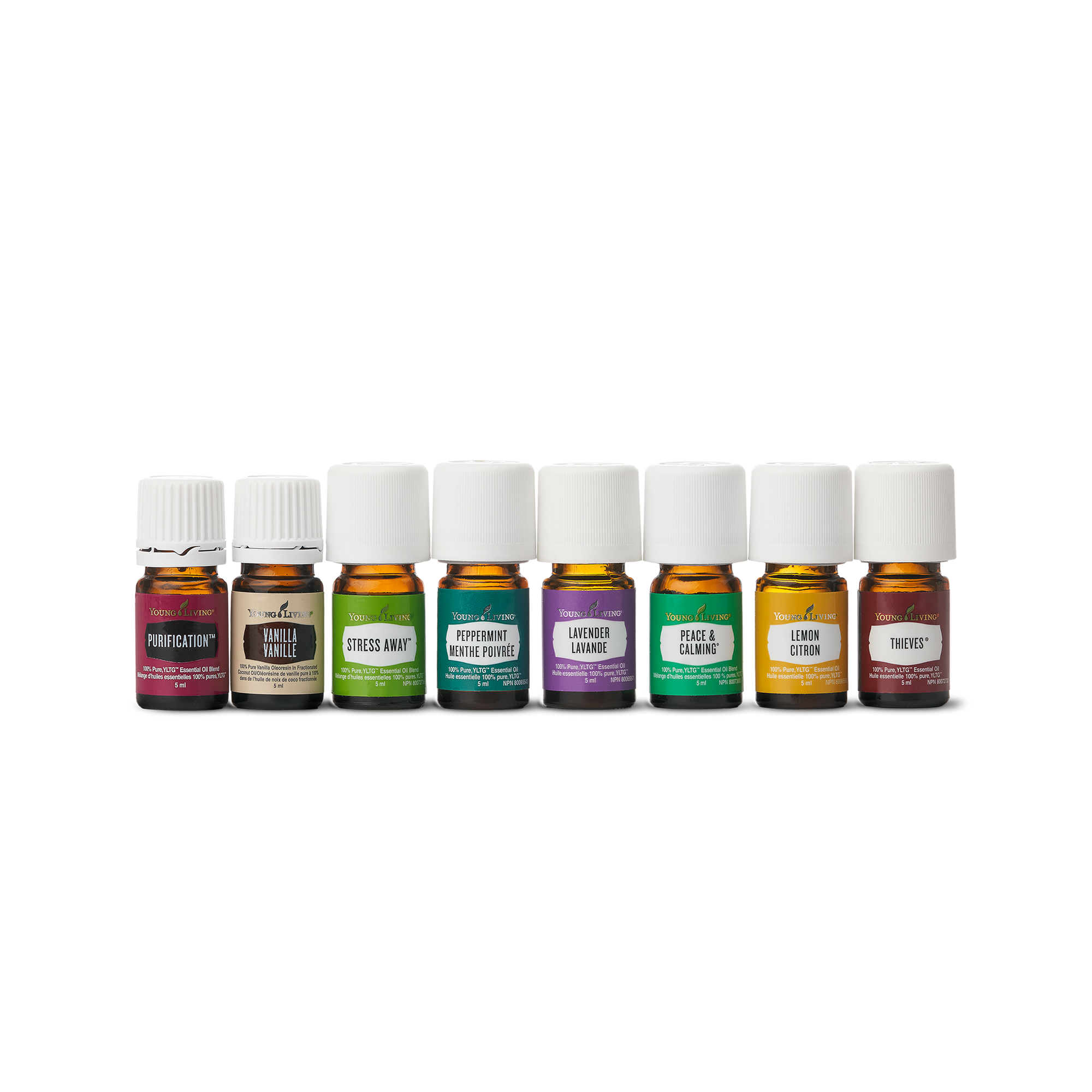 Premium Aroma Starter Bundle
