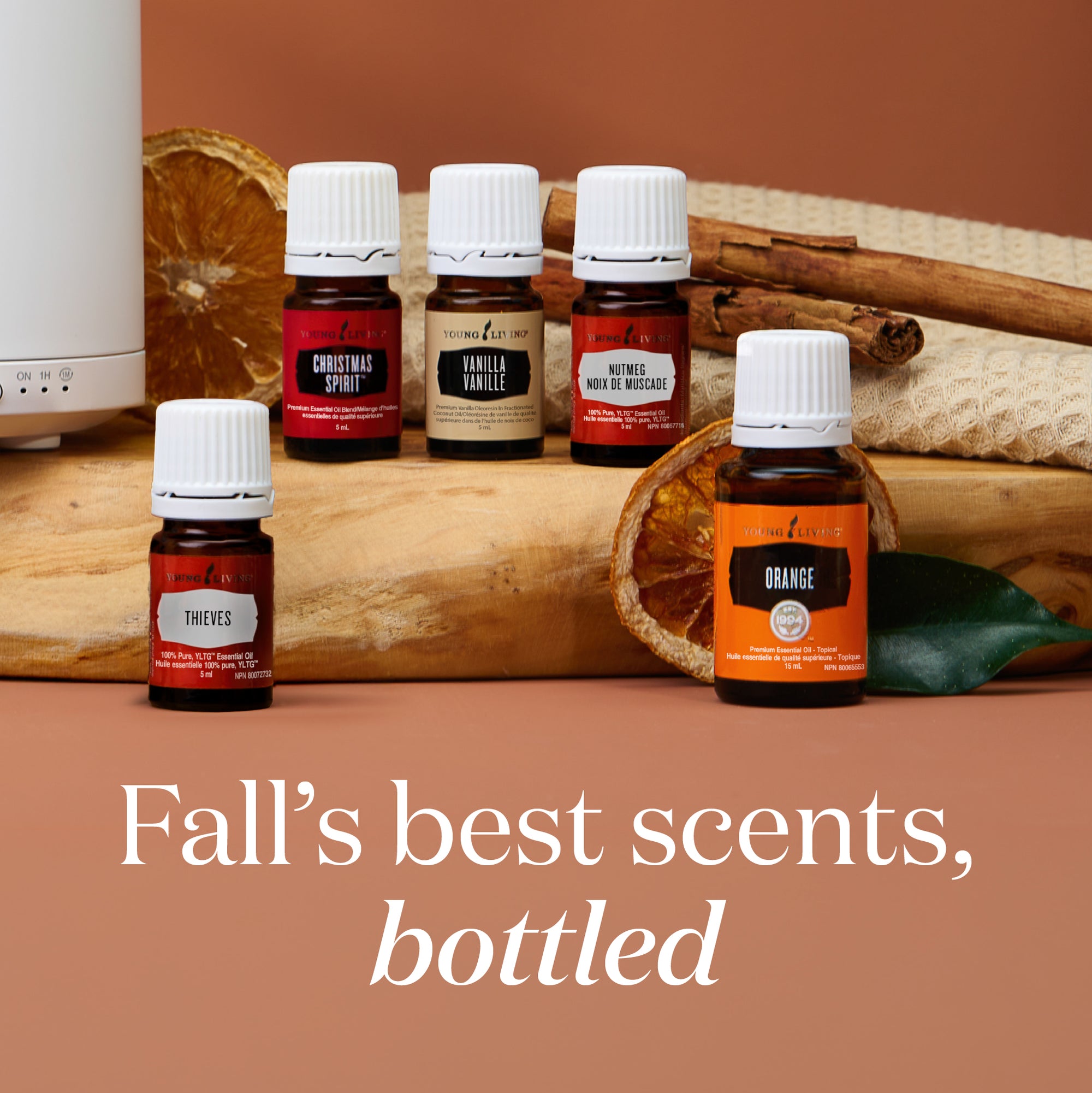 Fall Starter Bundle