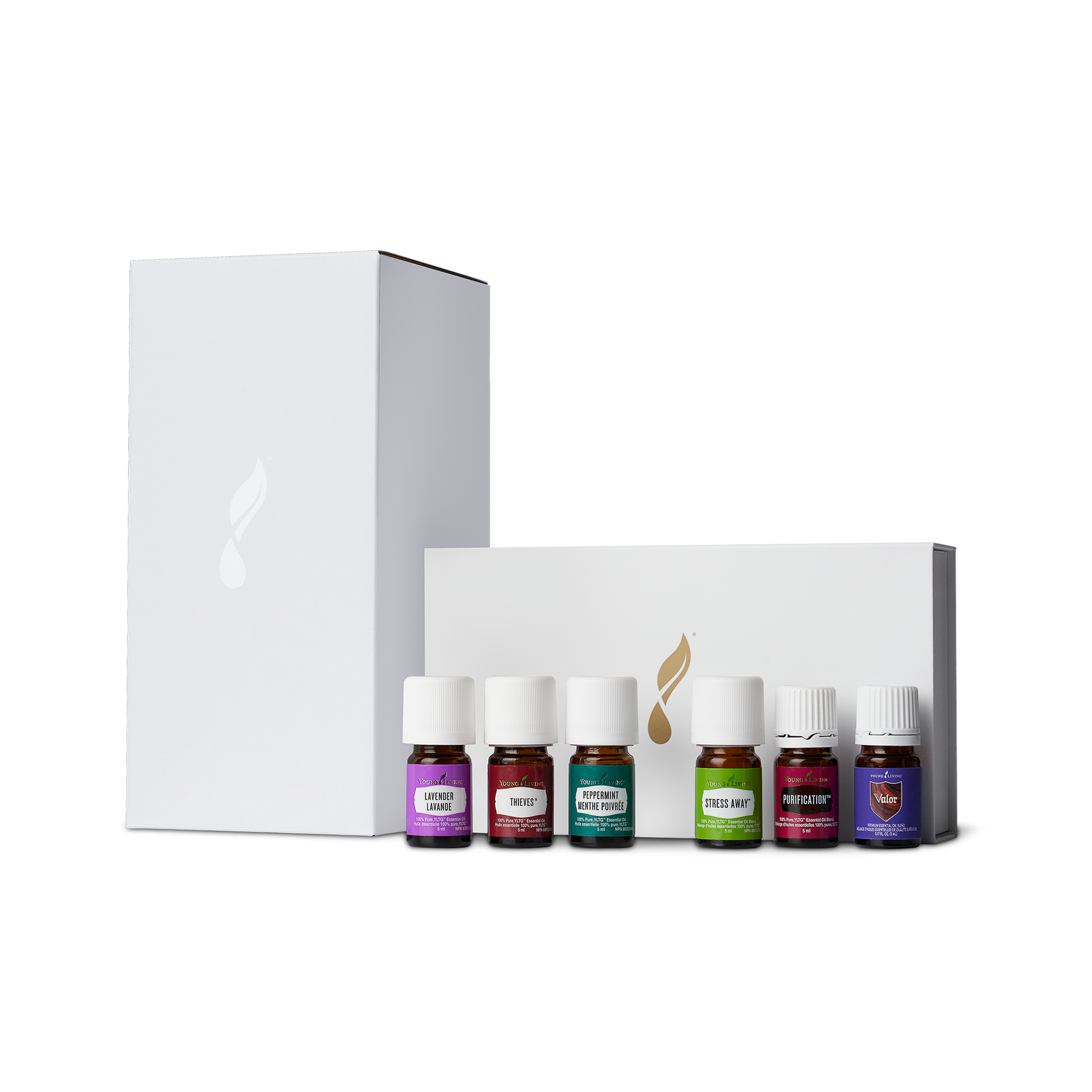 Make a Shift Essential Solutions Bundle