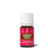 Frankincense Essential Oil