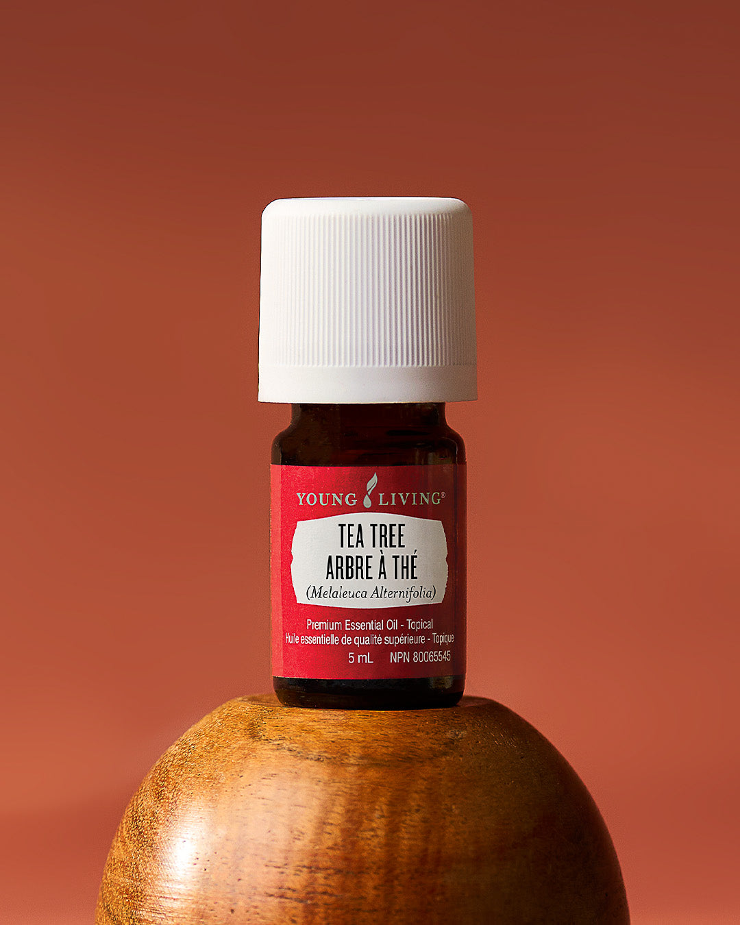 A 5 mL bottle of Young Living Tea Tree Essential Oil on a polished wooden sphere, set against a warm terracotta background.