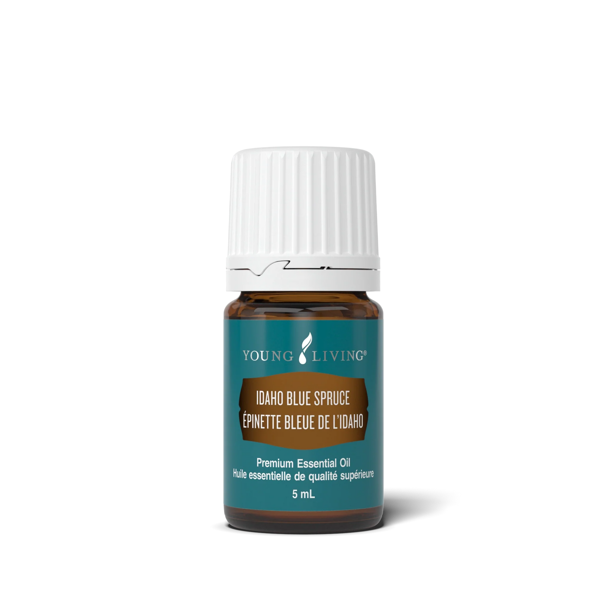 Idaho Blue Spruce Essential Oil