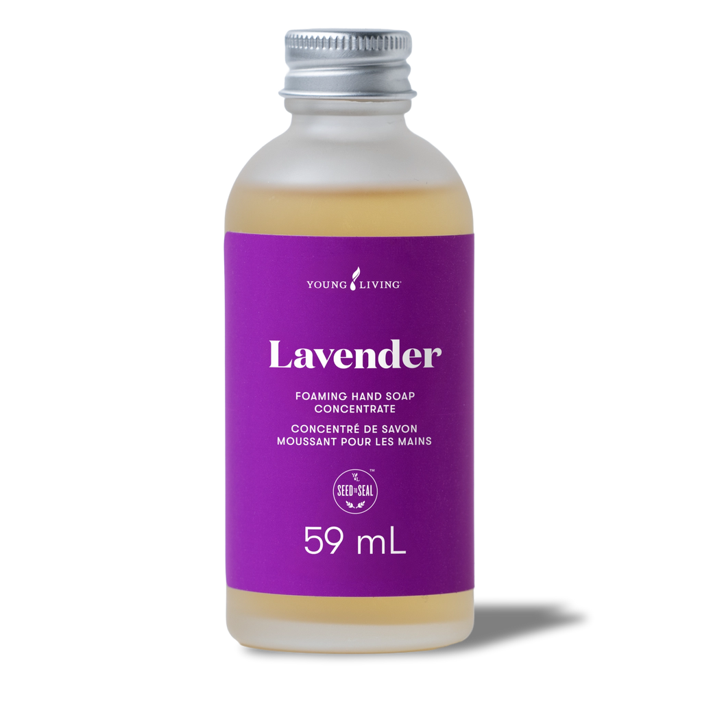 Lavender Foaming Hand Soap Concentrate