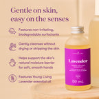 Lavender Foaming Hand Soap Concentrate Bundle