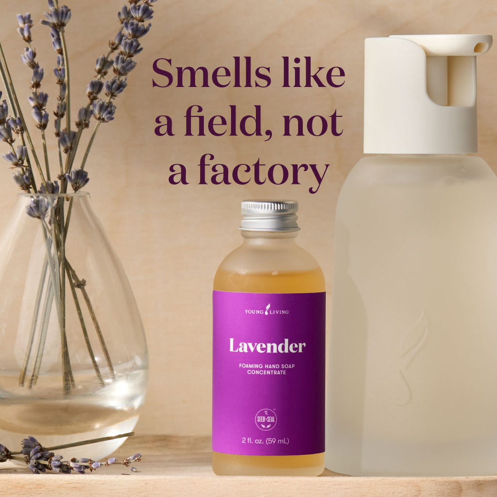 Lavender Foaming Hand Soap Concentrate Bundle