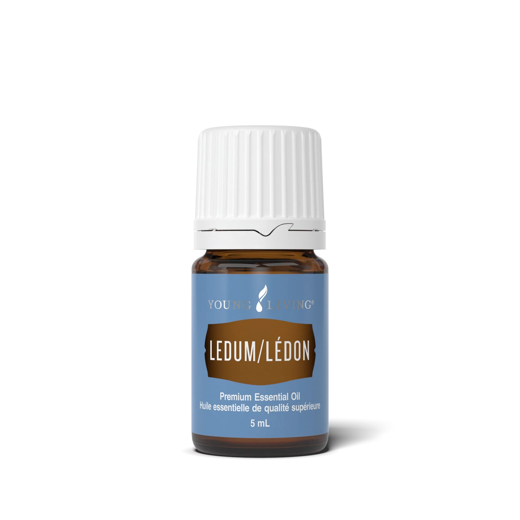 Ledum Essential Oil