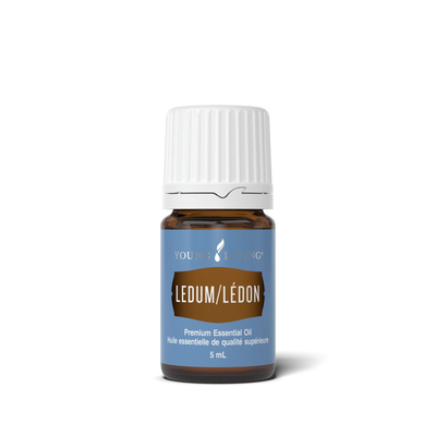 Ledum Essential Oil