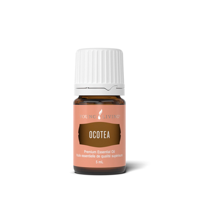 Ocotea Essential Oil