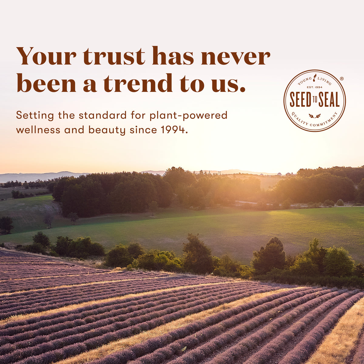 Lavender field with text " Your trust has never been a trend to us."