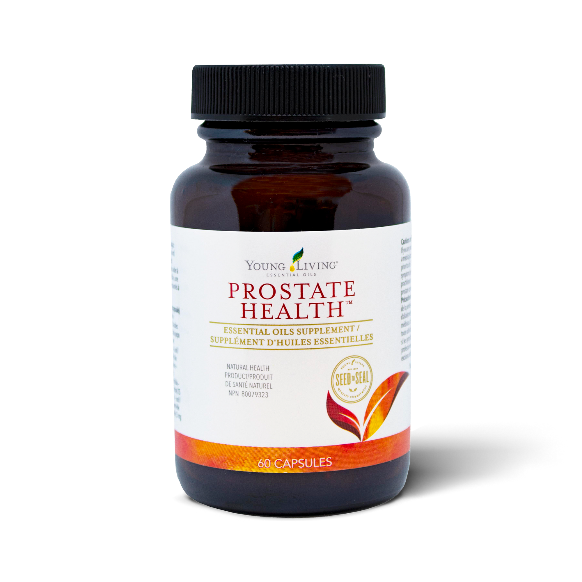 Prostate Health