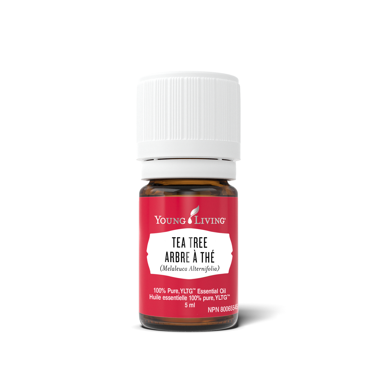 A 5 ml bottle of Young Living Tea Tree Essential Oil on a clean white background. The bottle is made of amber glass, has a white ribbed cap, and features a red label with white text.