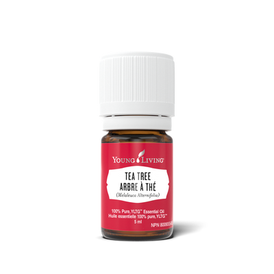 A 5 ml bottle of Young Living Tea Tree Essential Oil on a clean white background. The bottle is made of amber glass, has a white ribbed cap, and features a red label with white text.