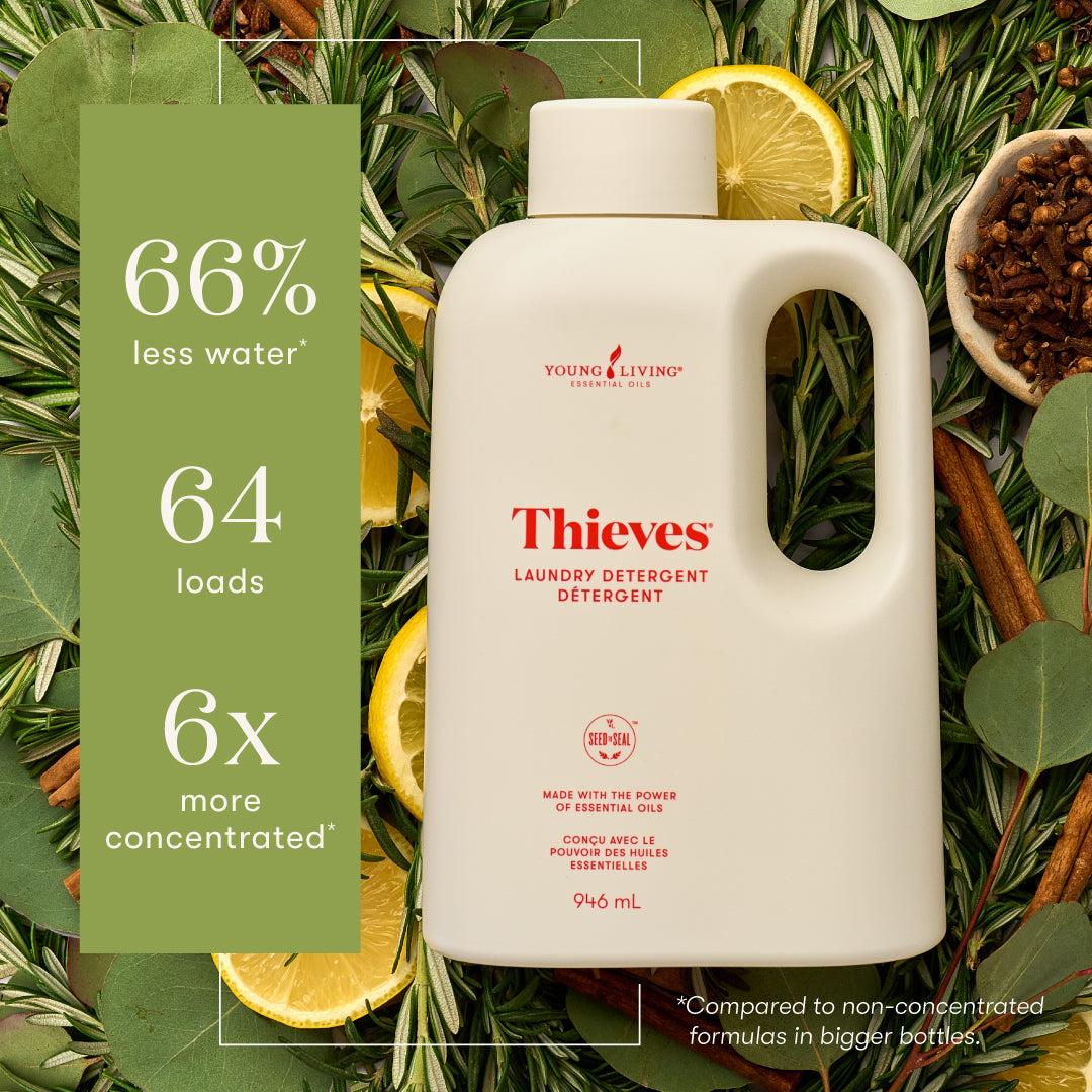Thieves Laundry Detergent