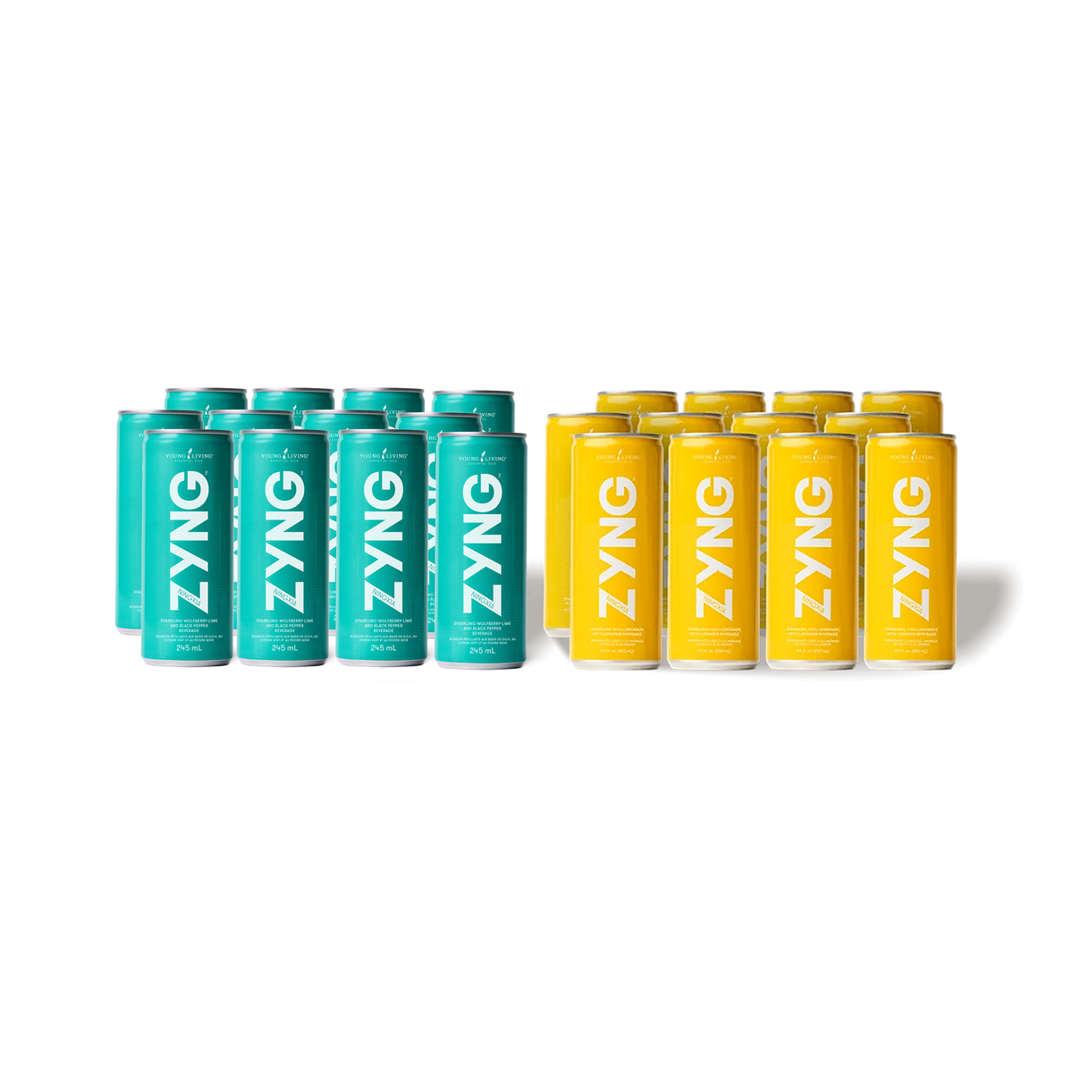 Bundle Pack of 24 Zyng