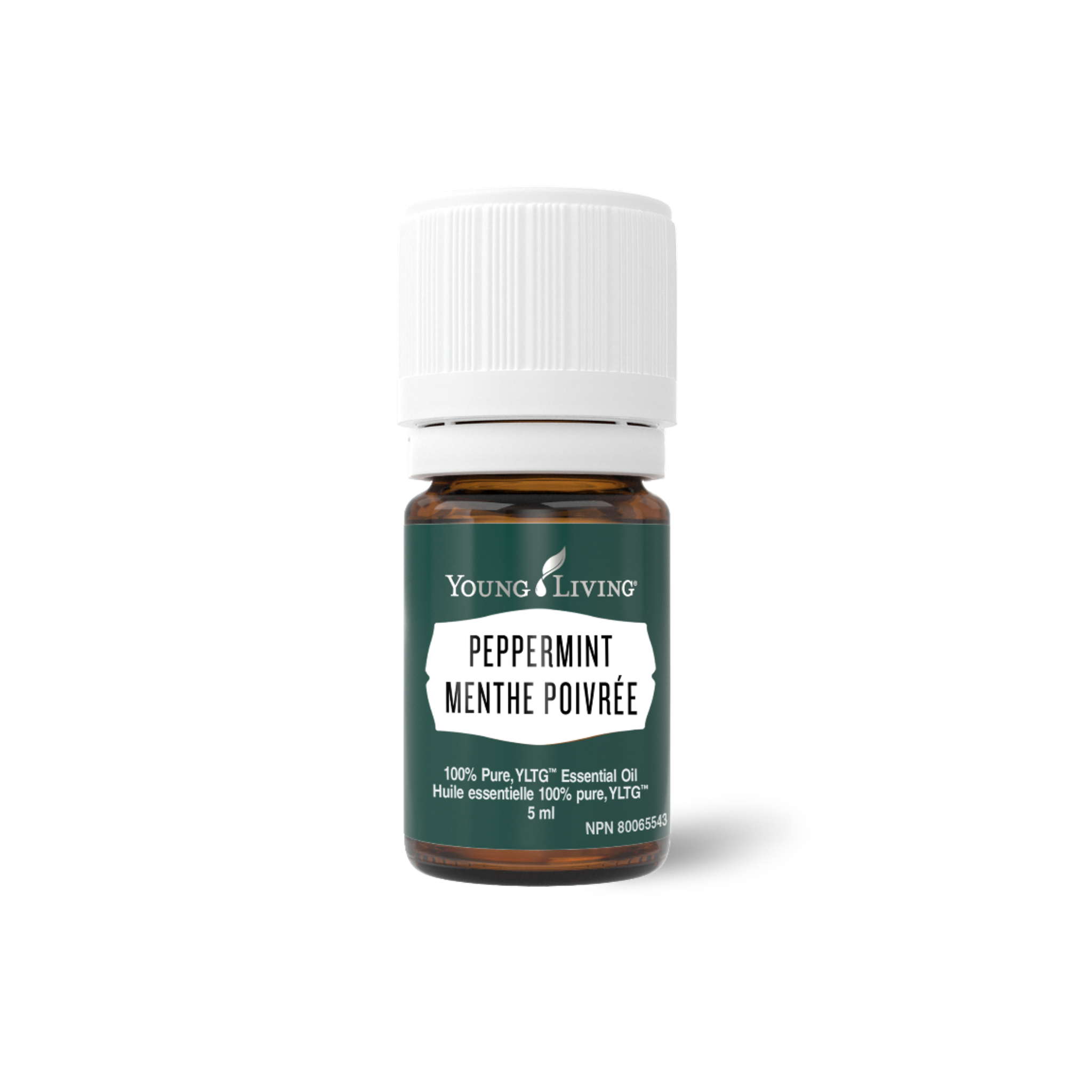Peppermint Essential Oil